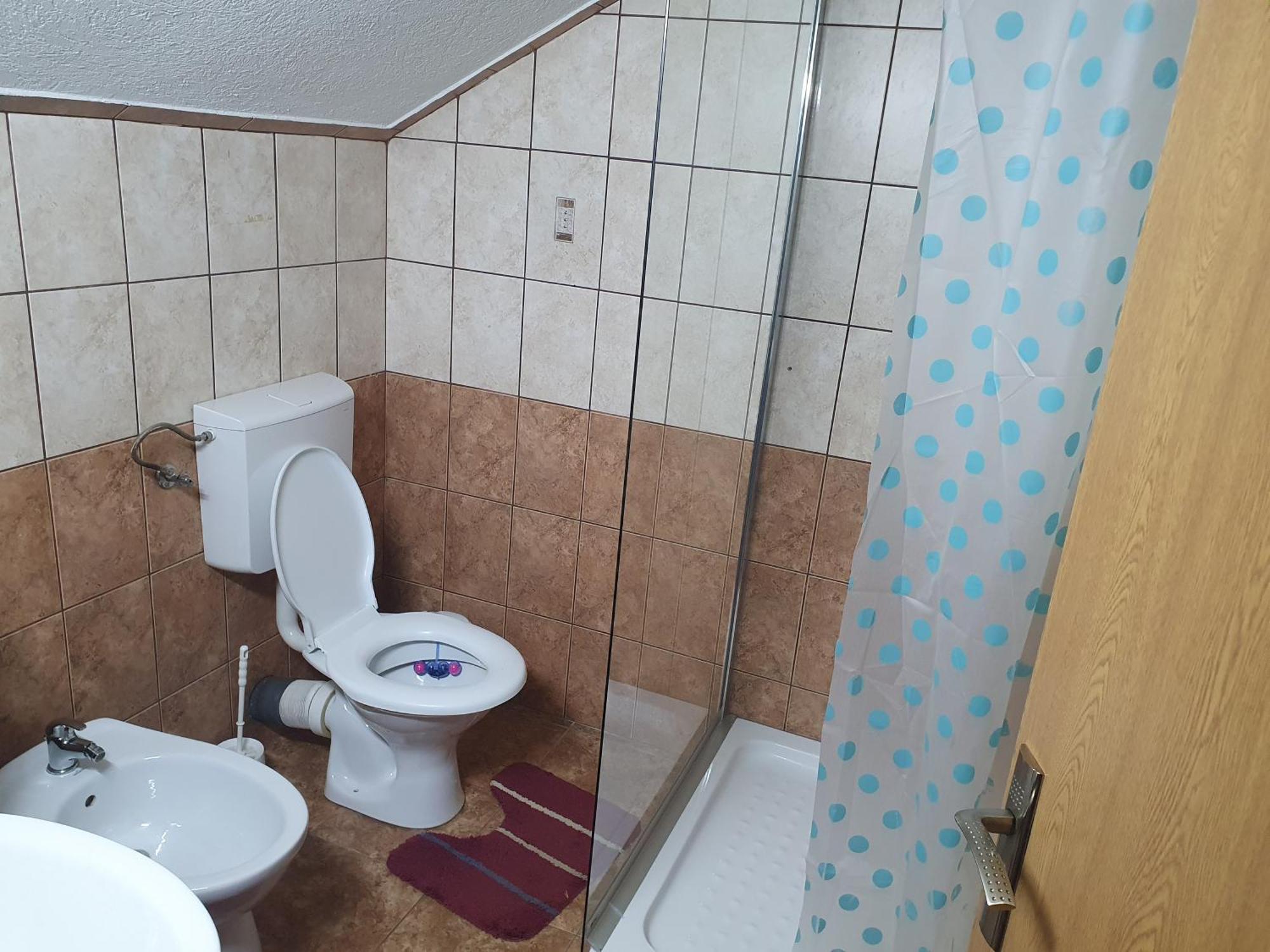 Pensiunea Dandu Corbeni Camera foto